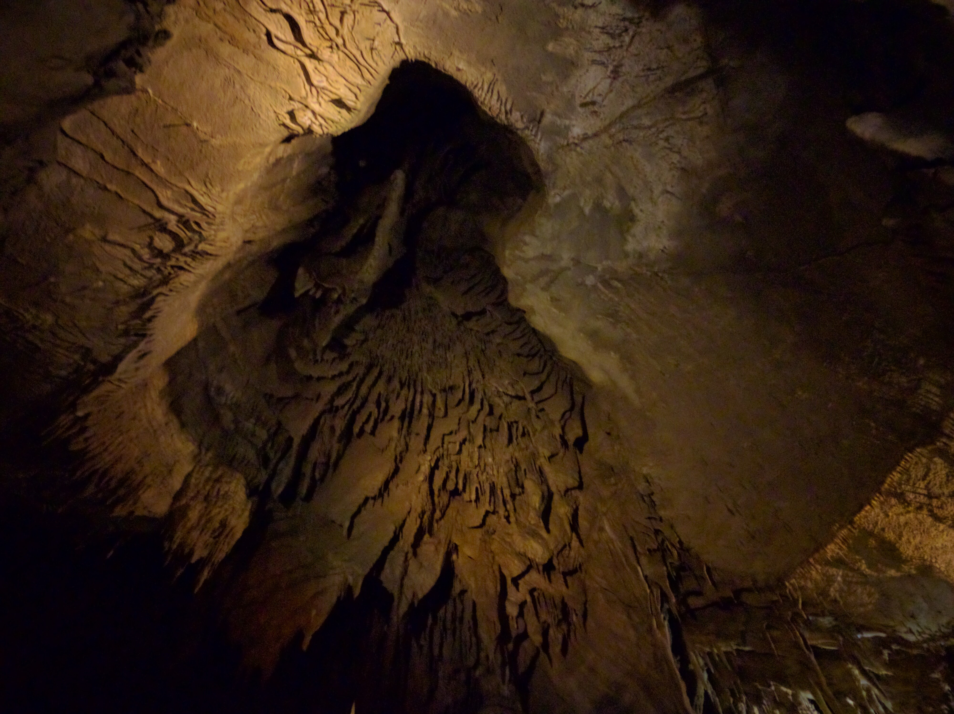 Stalactites in Mammoth Cave