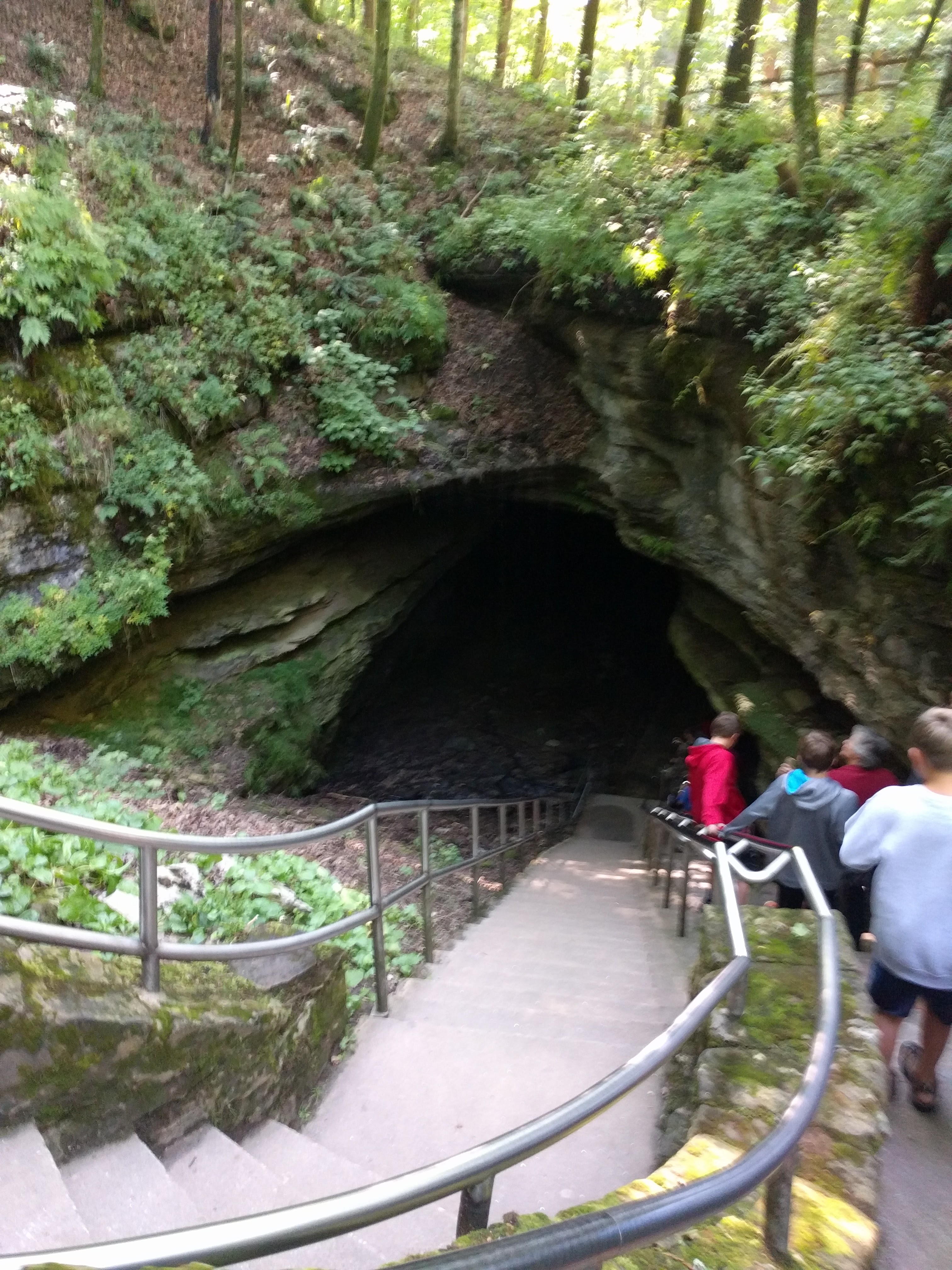 Mouth of Mammoth Cave