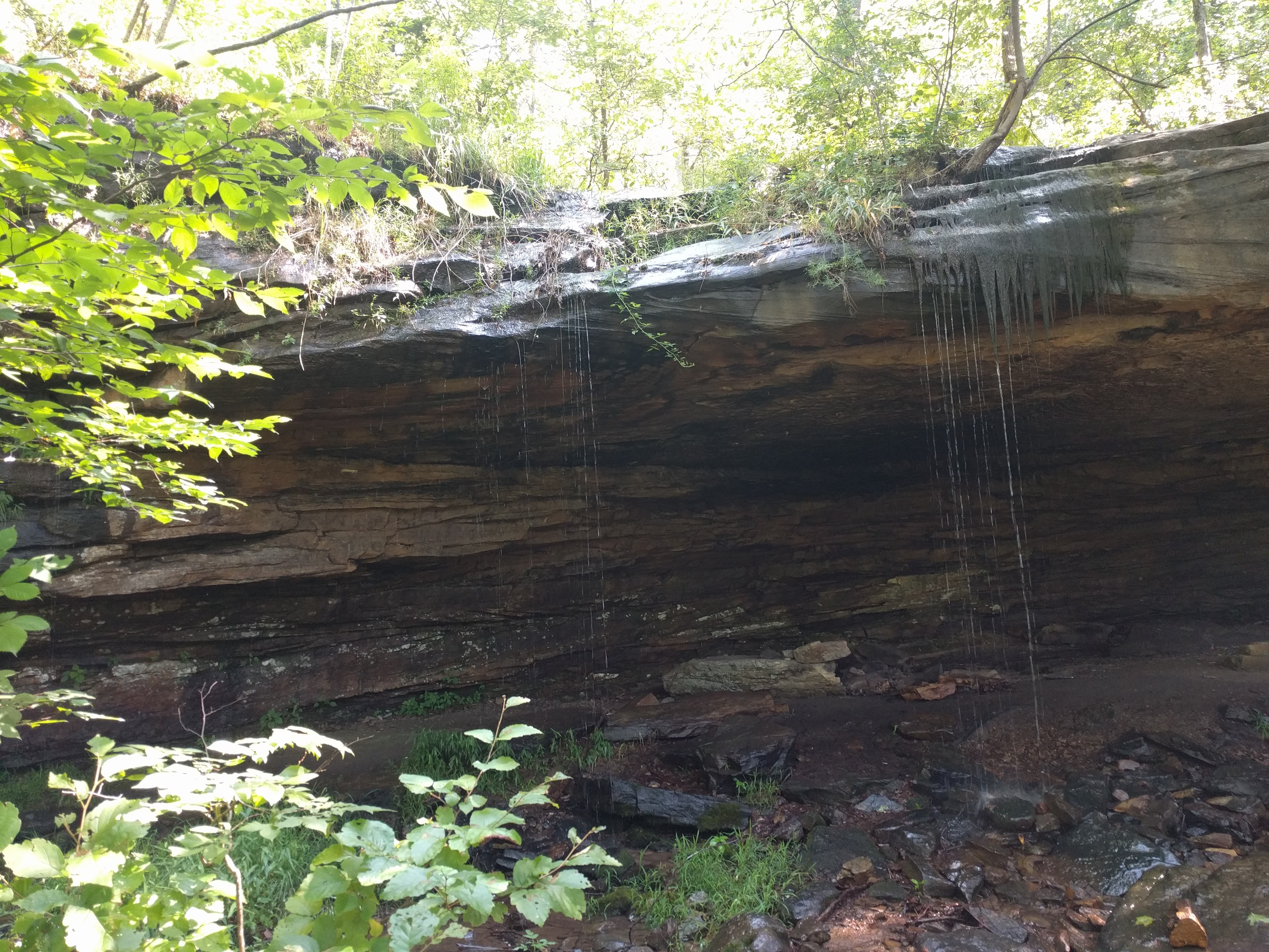 Small waterfall and enclosed shelter created by outcropping of limestone